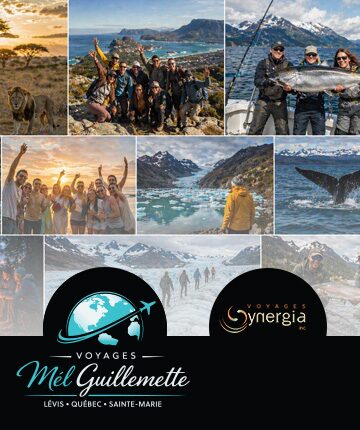 Voyages corporatifs